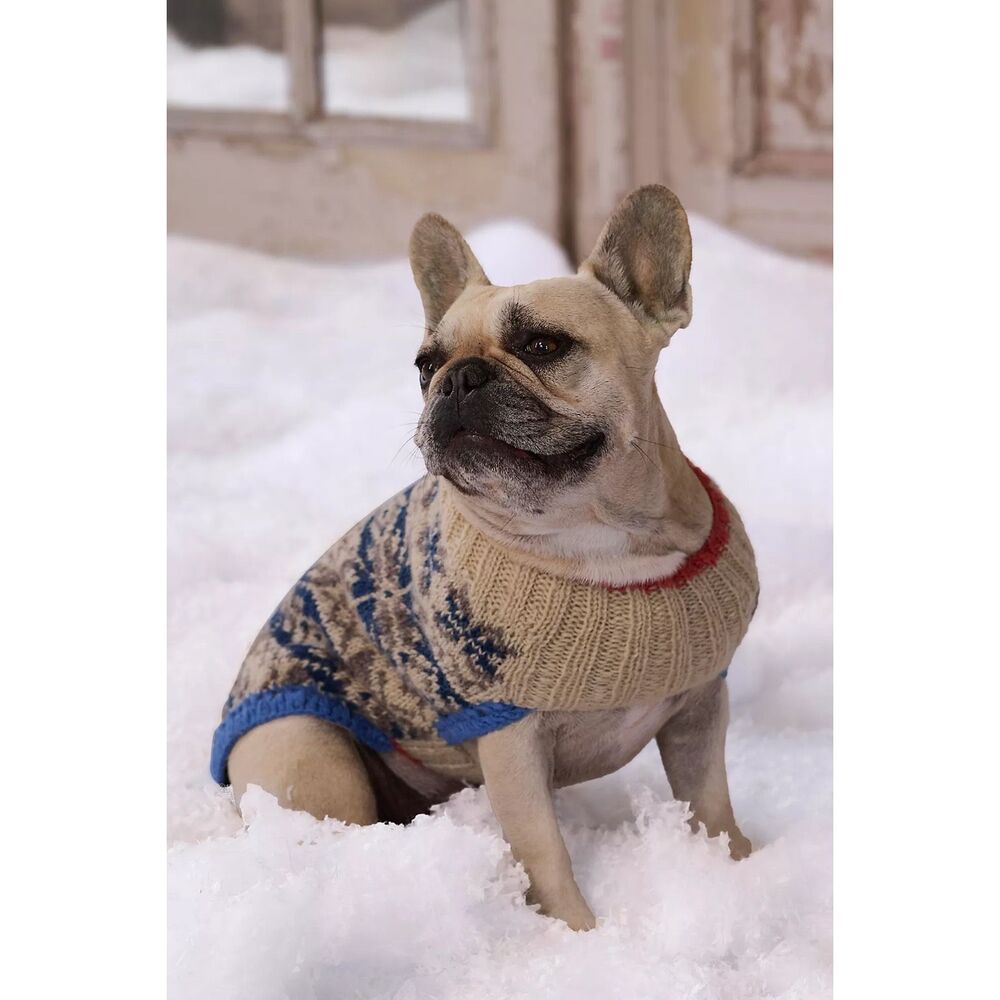 New Free People x French Knot Snowflake Dog Sweater Size M.